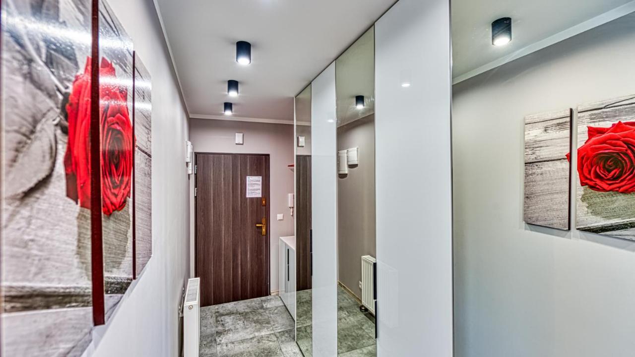 Apartament Szary Kamien W Swieradowie Zdroj - 5D Apartamenty Exterior foto